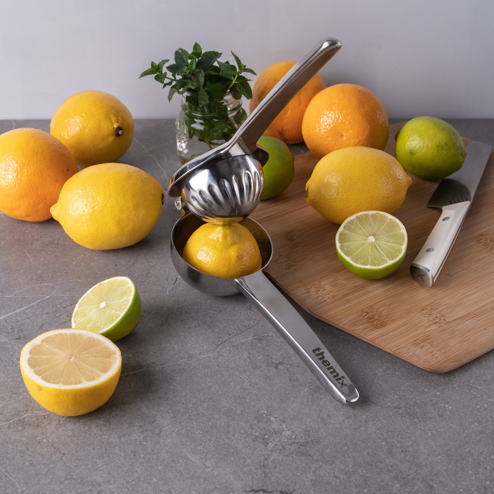 Stainless Steel Lemon Squeezer – Easy Handheld Citrus Juicer